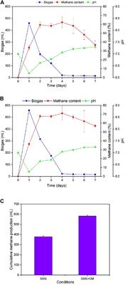 Enhancing Methane Production in a Two-Stage Anaerobic Digestion of Spent Mushroom Substrate and Chicken Manure via Activation of Sludge, Optimization of Temperature, and C/N Ratio